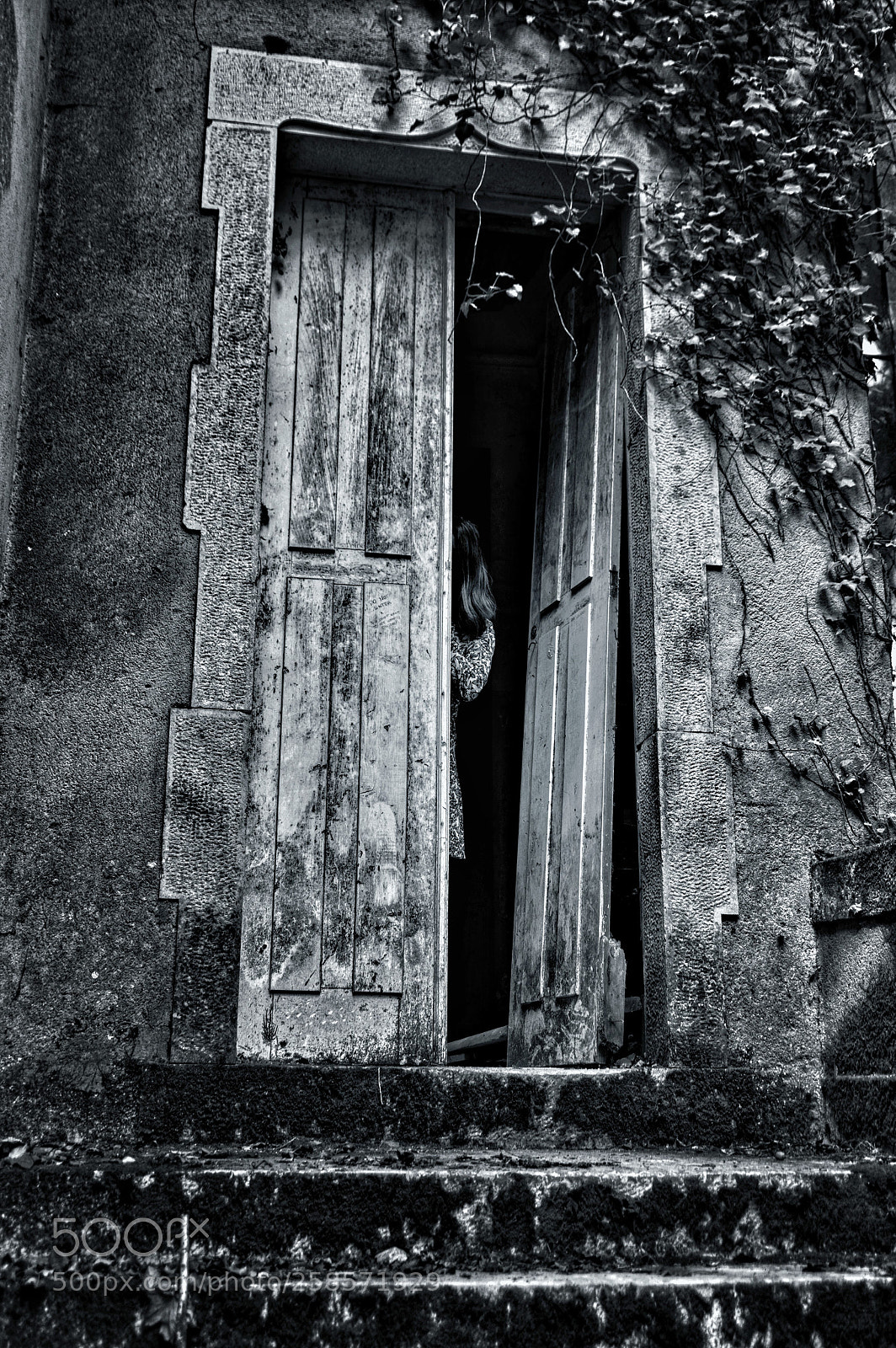 Pentax K-3 II sample photo. Untitled photography
