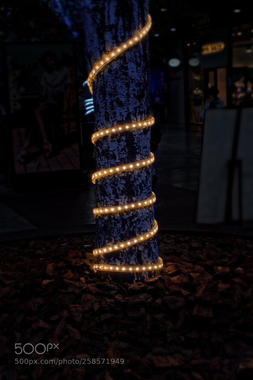 Canon EOS 600D (Rebel EOS T3i / EOS Kiss X5) sample photo. Light photography