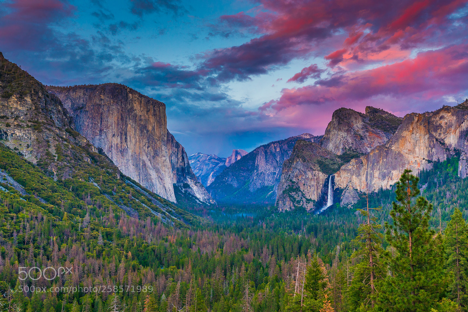 Canon EOS 5D Mark IV sample photo. Tunnel view photography