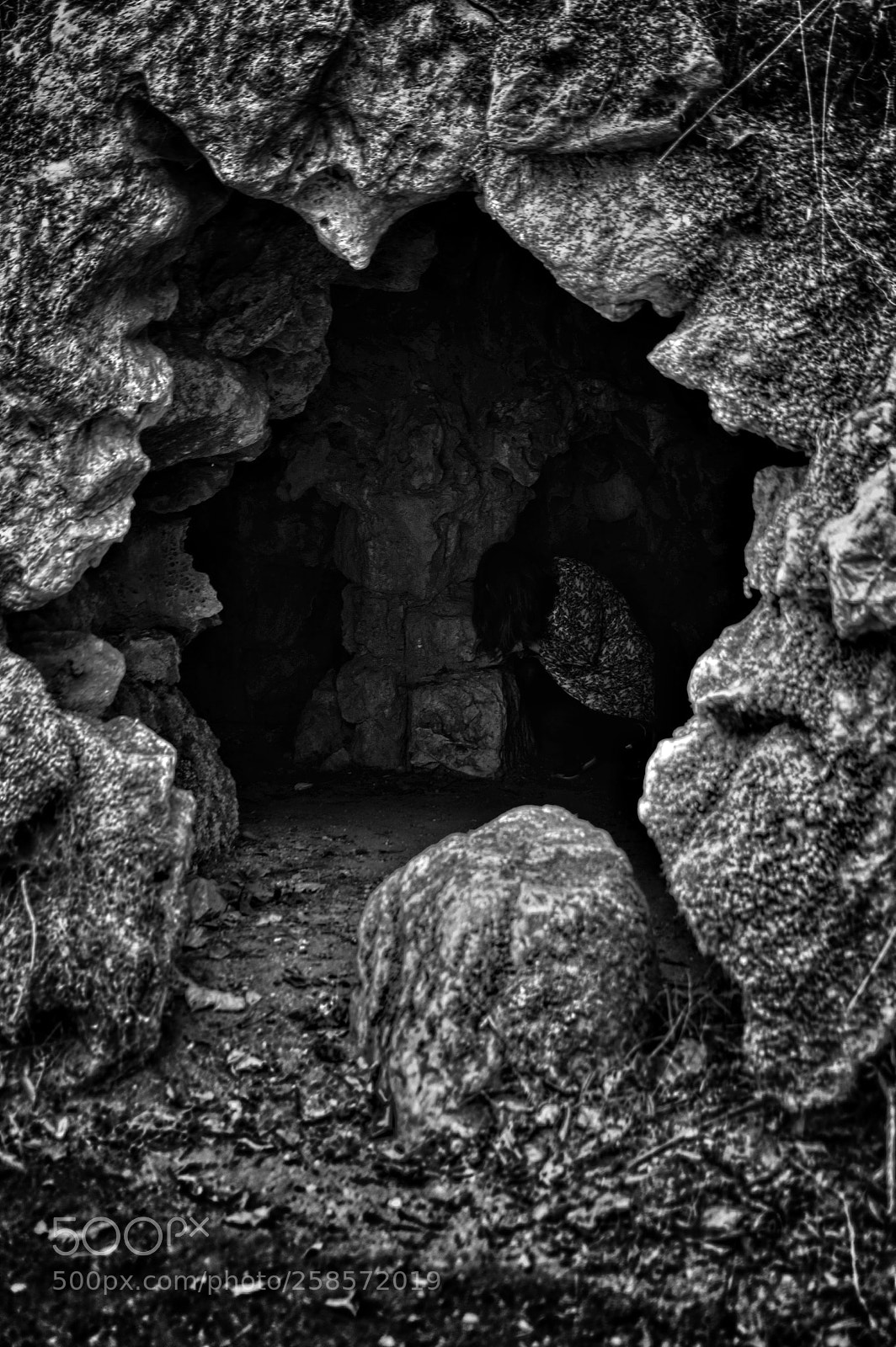 Pentax K-3 II sample photo. Untitled photography