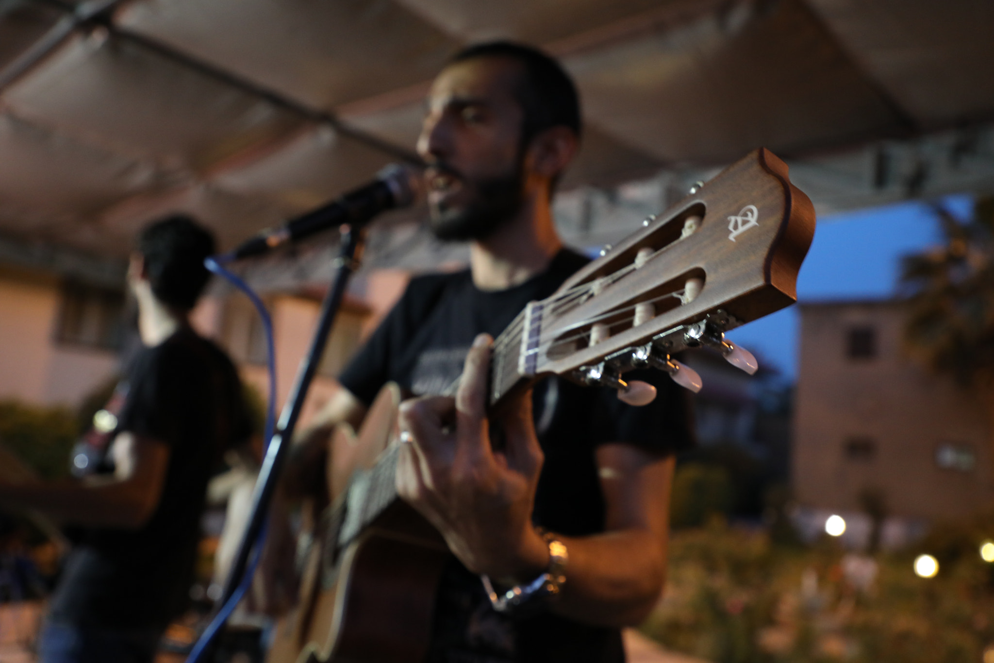 Canon EF 24-105mm F4L IS II USM sample photo. A guitar photography