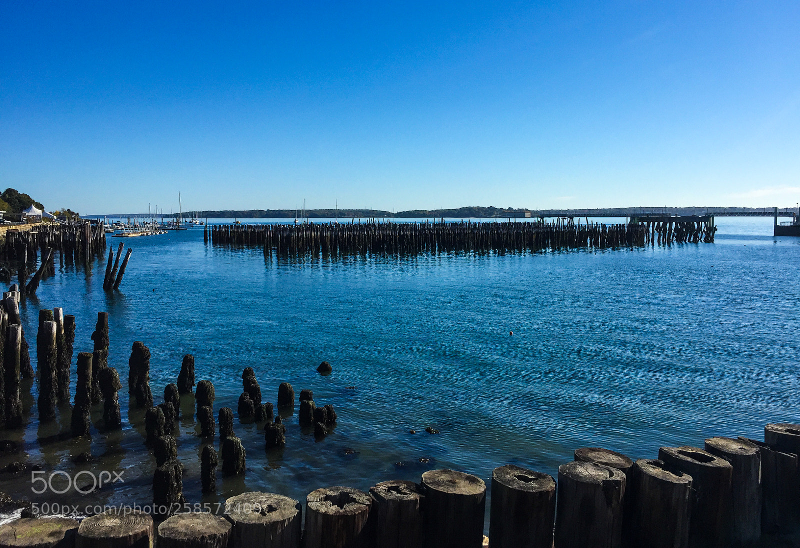 Apple iPhone 6 sample photo. Portland, me photography