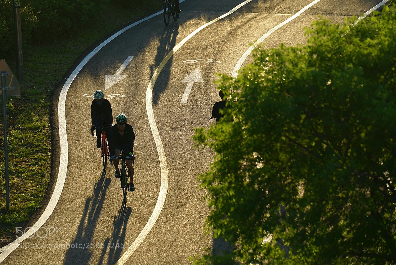 Sony a7 II sample photo. Untitled photography