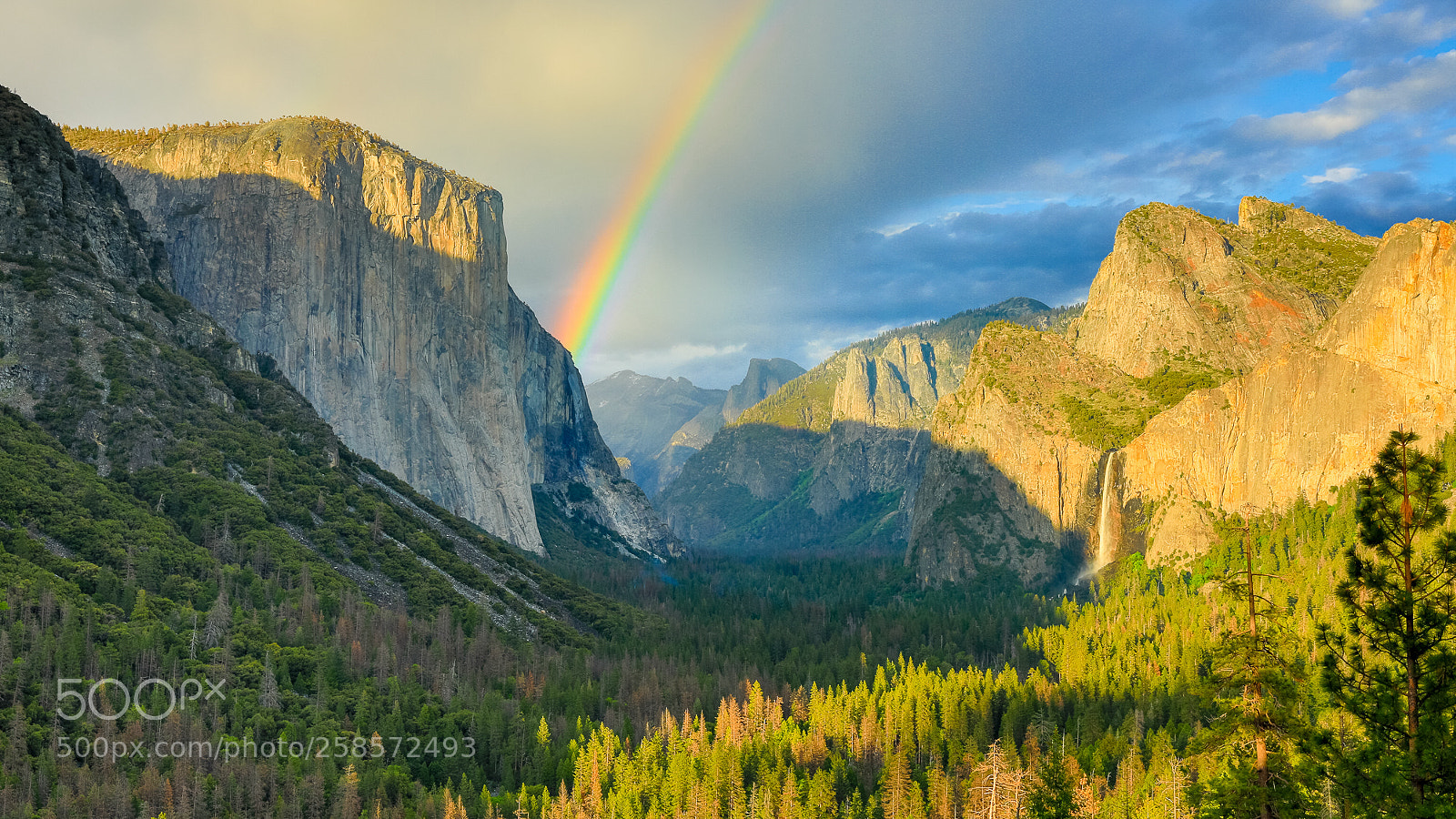 Canon EOS 5D Mark IV sample photo. Tunnel view photography