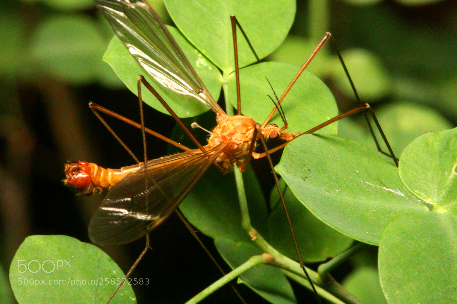 Canon EOS 5D sample photo. Img photography