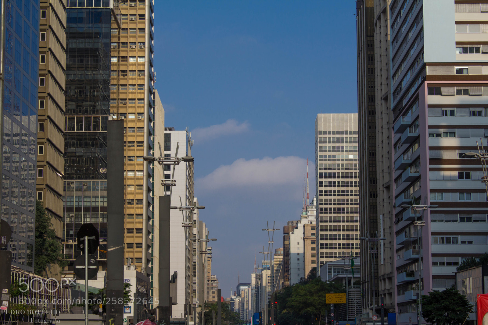 Canon EOS 1200D (EOS Rebel T5 / EOS Kiss X70 / EOS Hi) sample photo. Avenida paulista photography