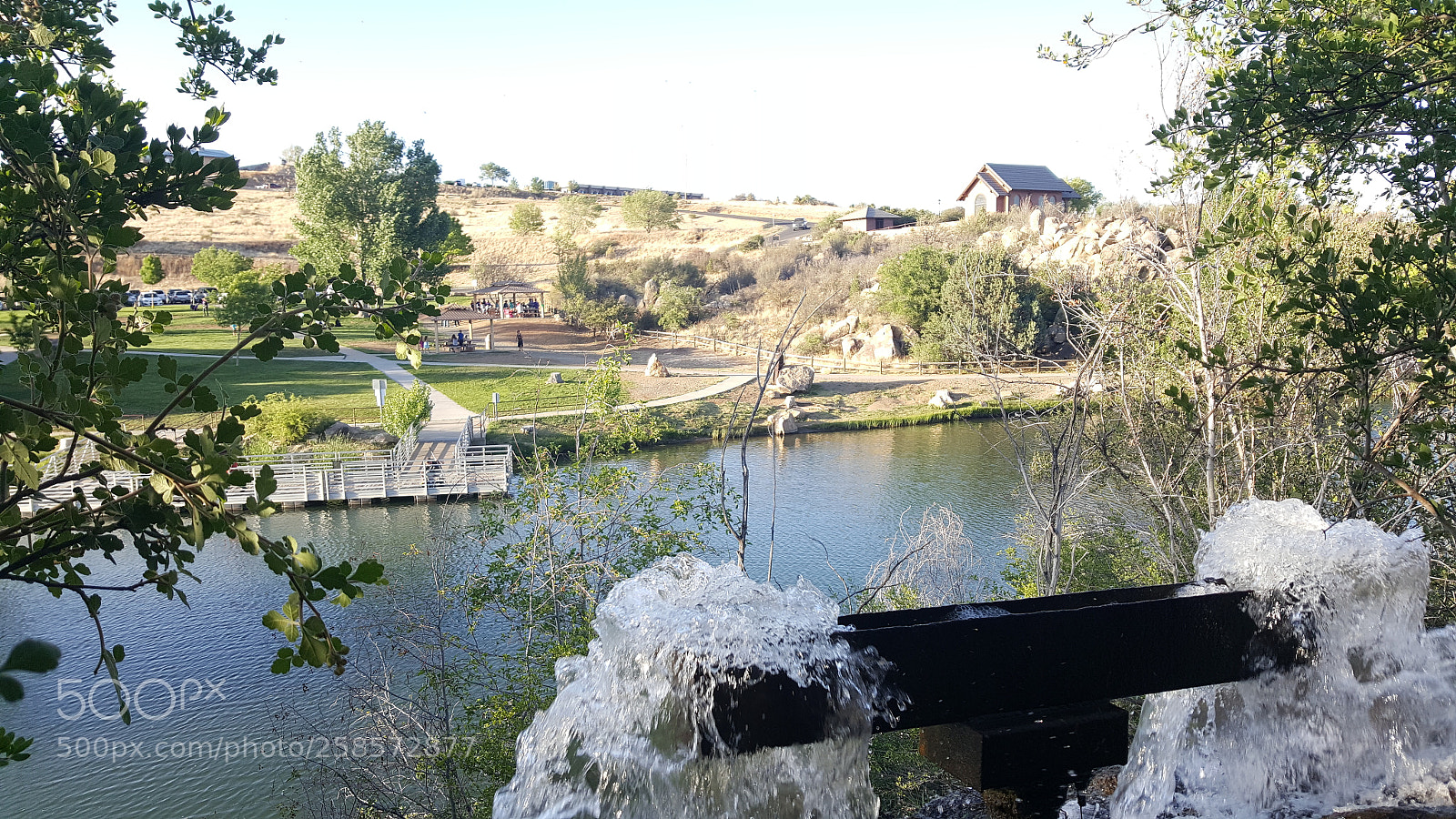 Samsung GALAXY S6 edge sample photo. I'll never leave you photography