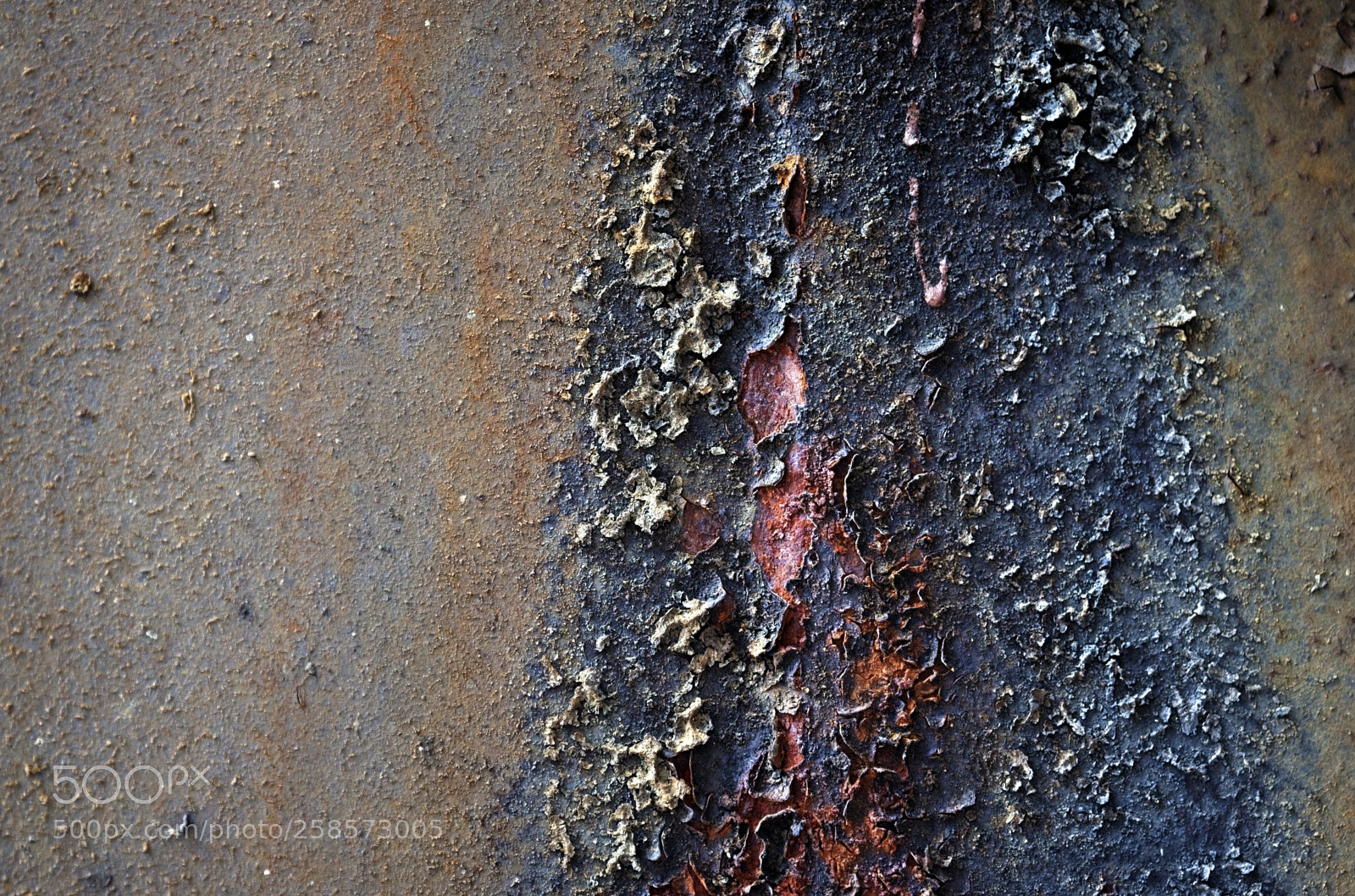 Nikon D750 sample photo. Entropy two photography