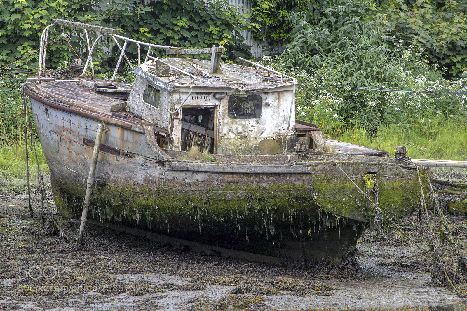 Canon EOS 600D (Rebel EOS T3i / EOS Kiss X5) sample photo. Old and floats? photography