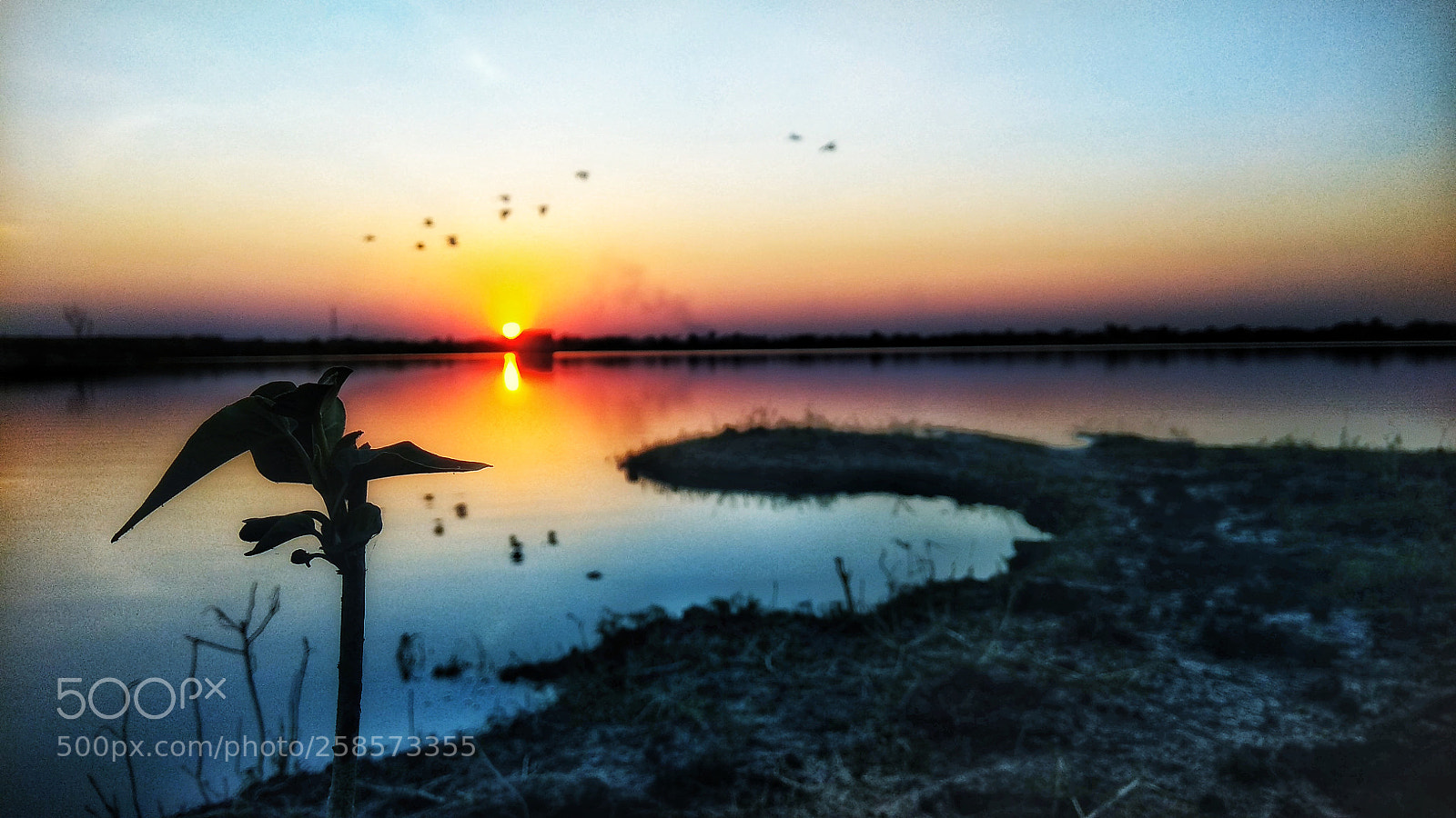 Xiaomi Redmi Note 4 sample photo. Untitled photography