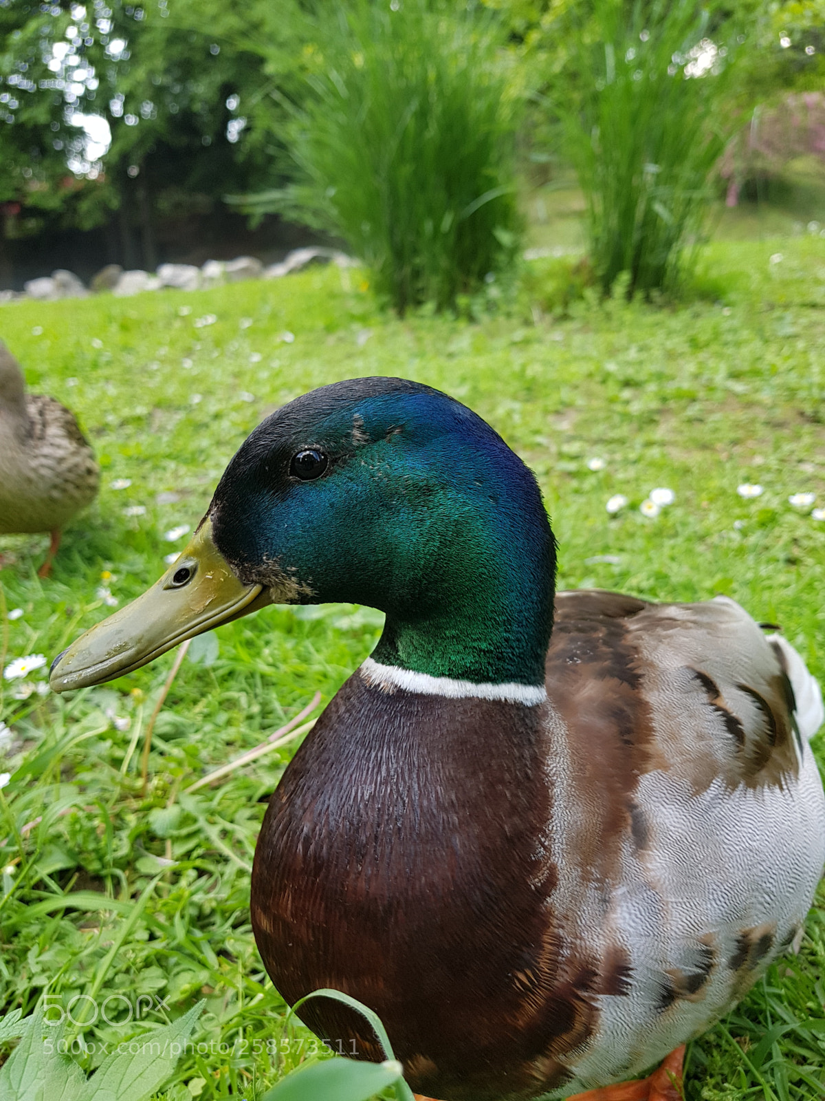 Samsung Galaxy S8 sample photo. Untitled photography