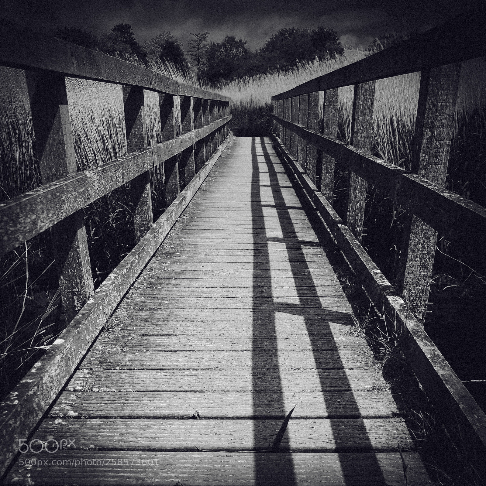 Nikon D90 sample photo. Bridge to? photography