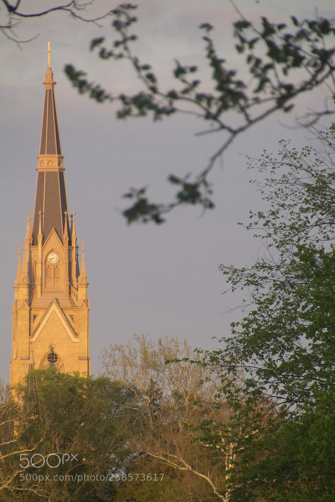 Canon EOS 1200D (EOS Rebel T5 / EOS Kiss X70 / EOS Hi) sample photo. Basilica of sacred heart photography