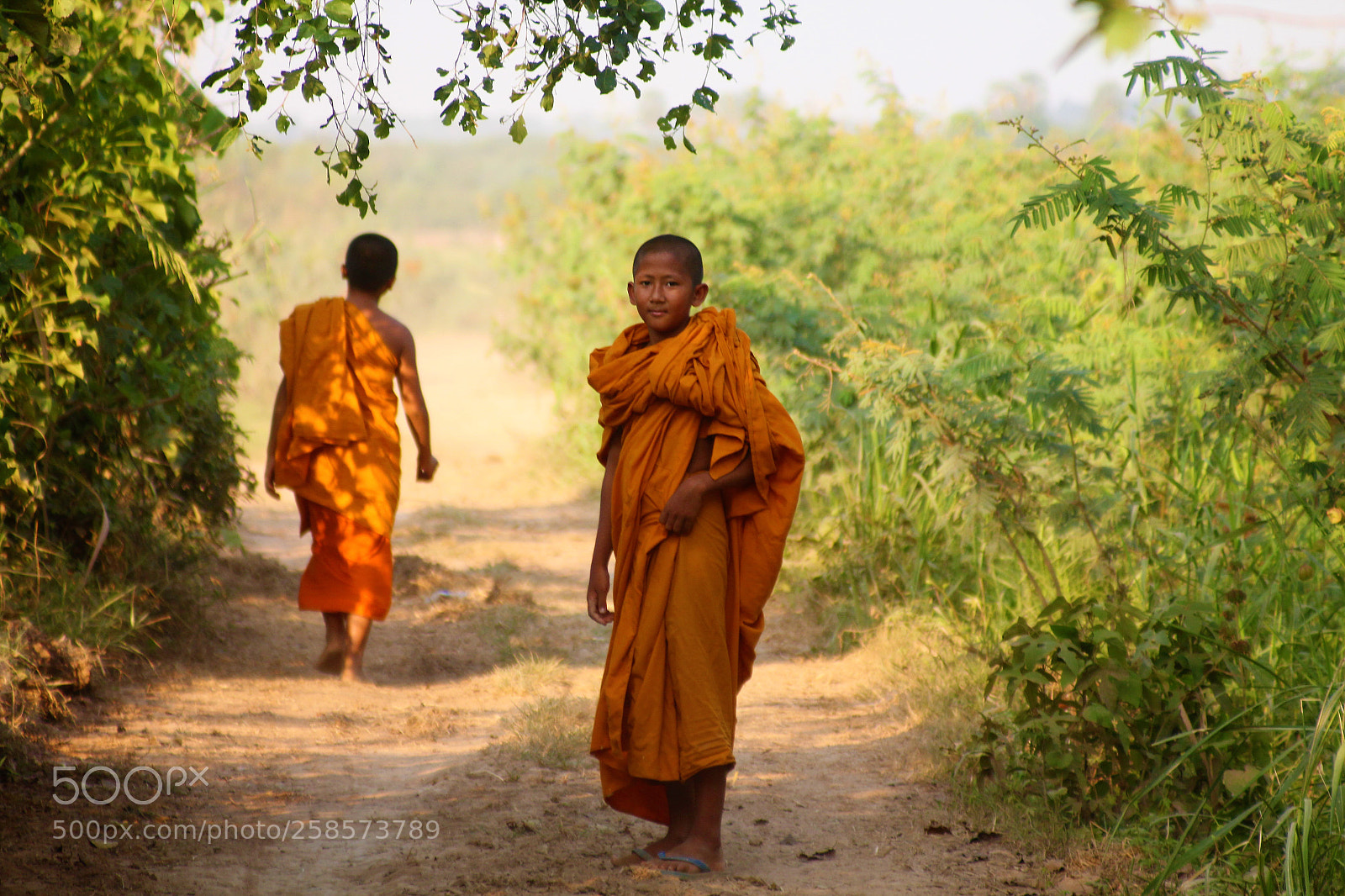 Canon EOS 60D sample photo. Monk's adventure photography