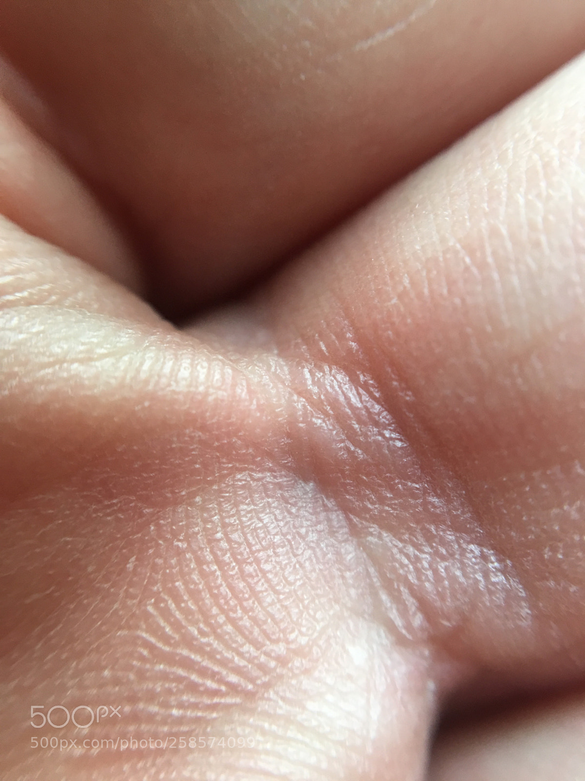 Apple iPhone 6s sample photo. Hand photography