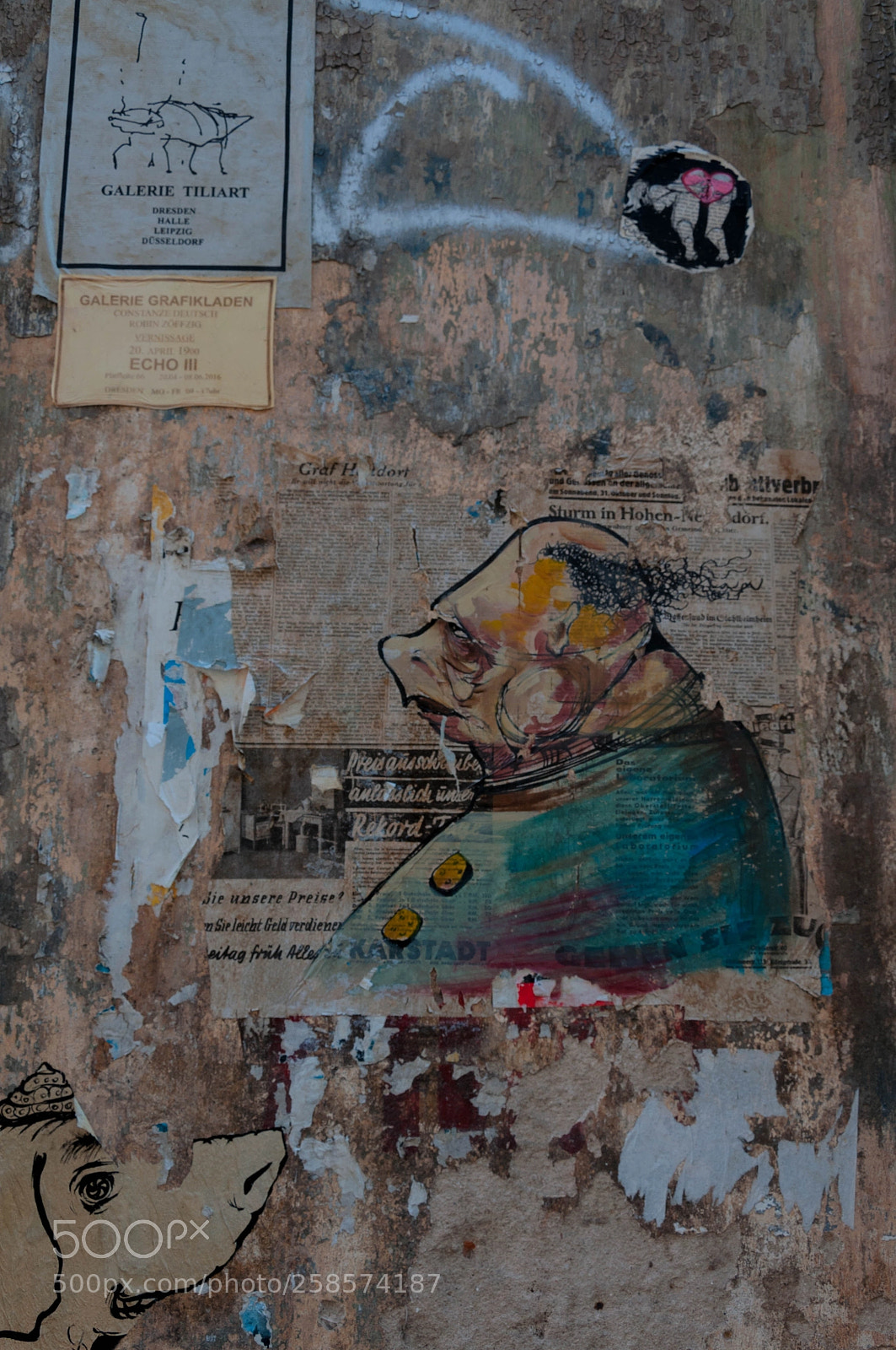 Nikon D5000 sample photo. Art photography