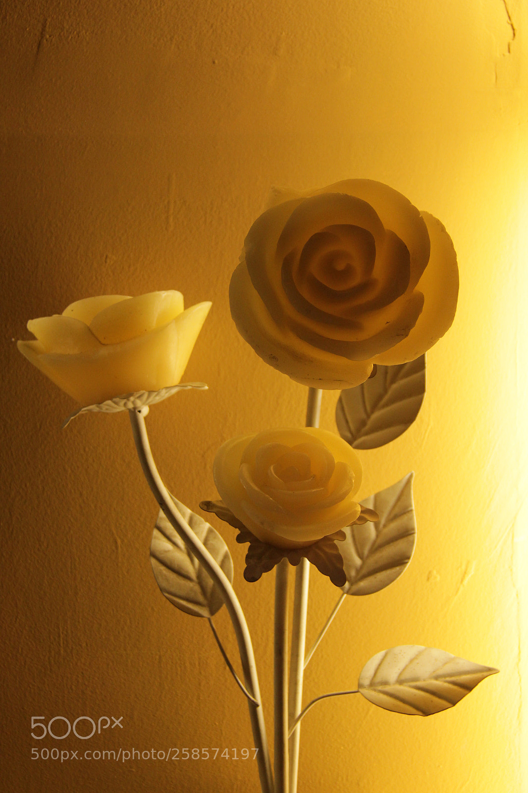 Canon EOS 60D sample photo. Wax made roses photography