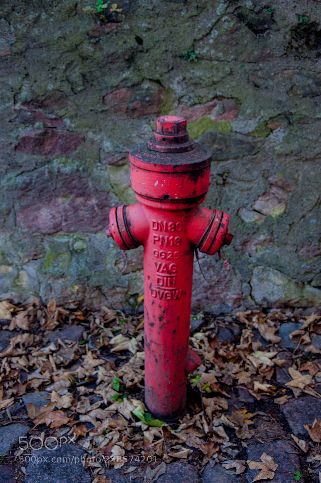 Nikon D5000 sample photo. Hydrant photography