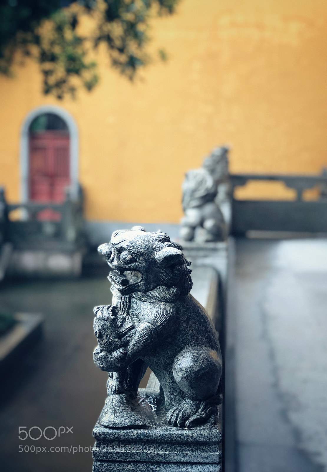 Apple iPhone 8 Plus sample photo. Untitled photography