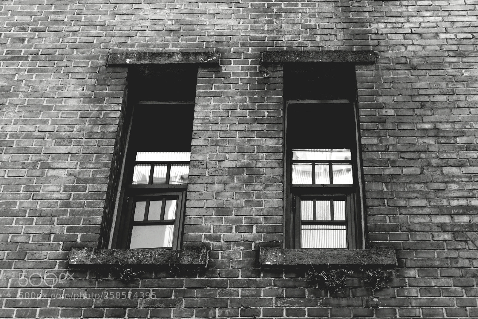 Nikon D750 sample photo. * the old windows photography