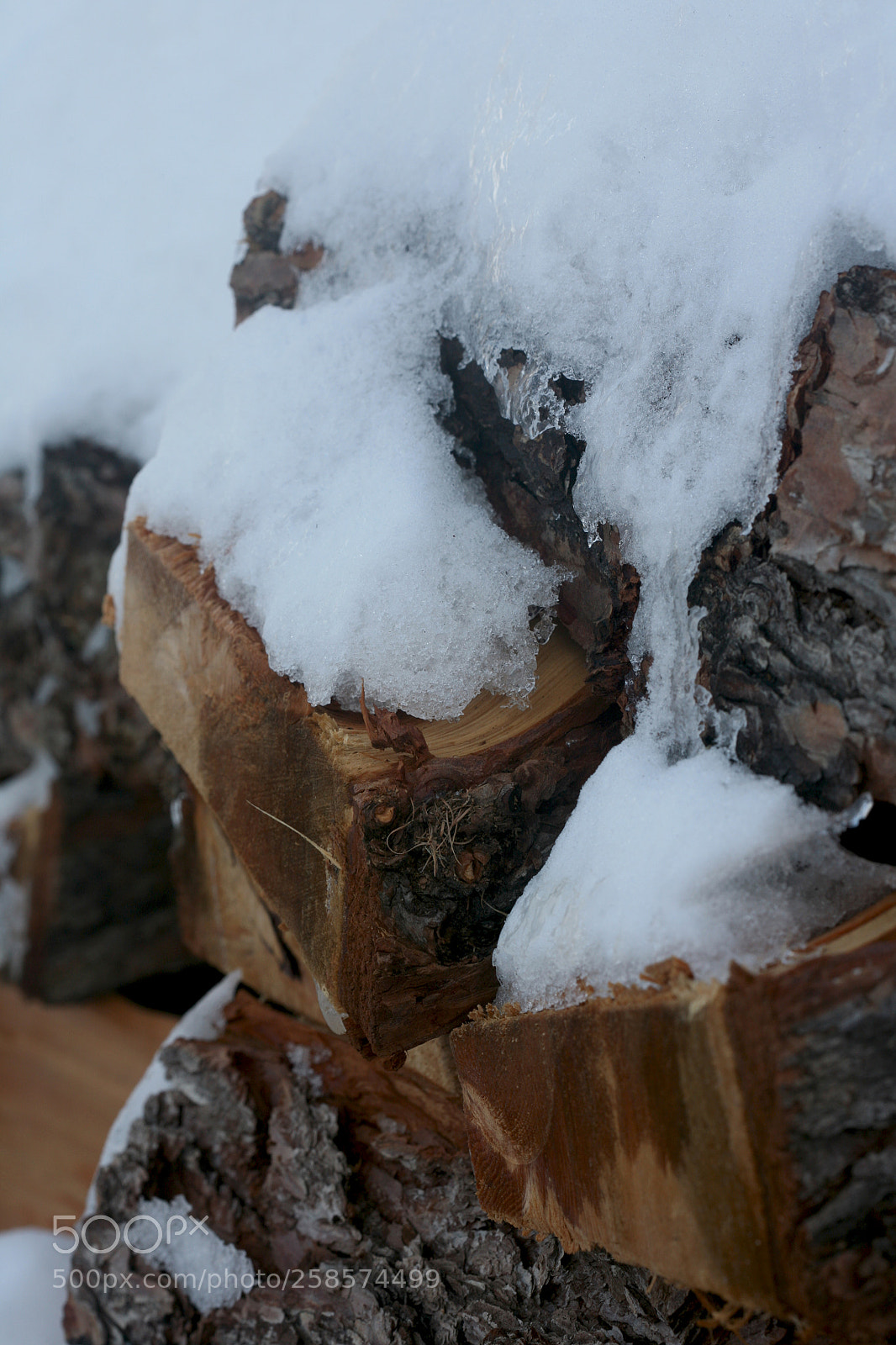 Canon EOS 5D sample photo. Img photography