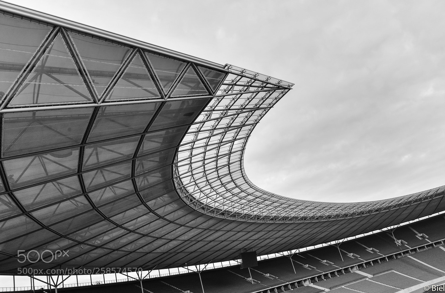 Nikon D610 sample photo. Like a wing photography