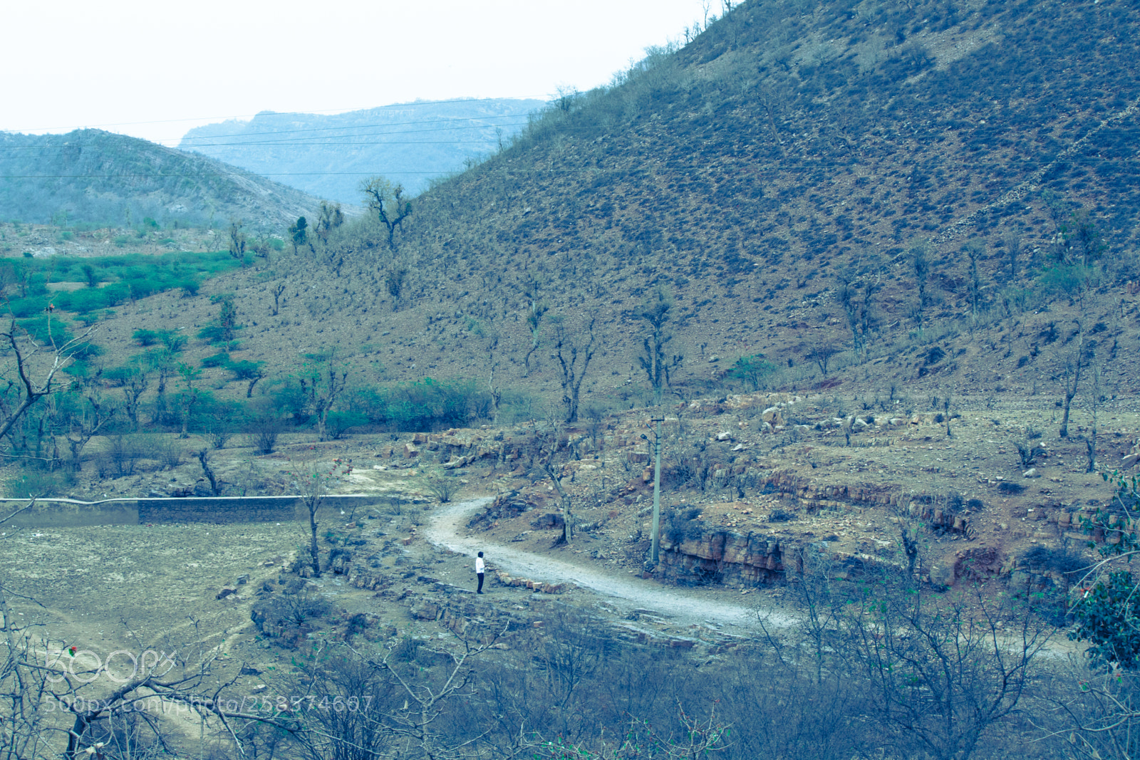 Canon EOS 700D (EOS Rebel T5i / EOS Kiss X7i) sample photo. Jaipur photography