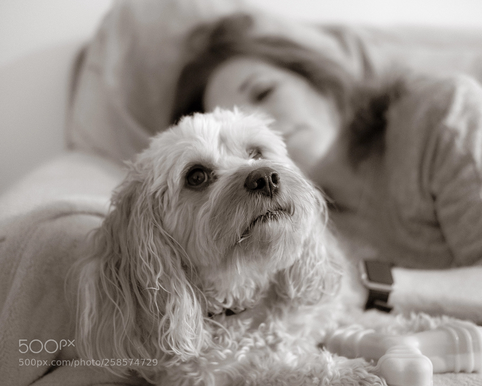 Fujifilm X-T2 sample photo. Untitled photography