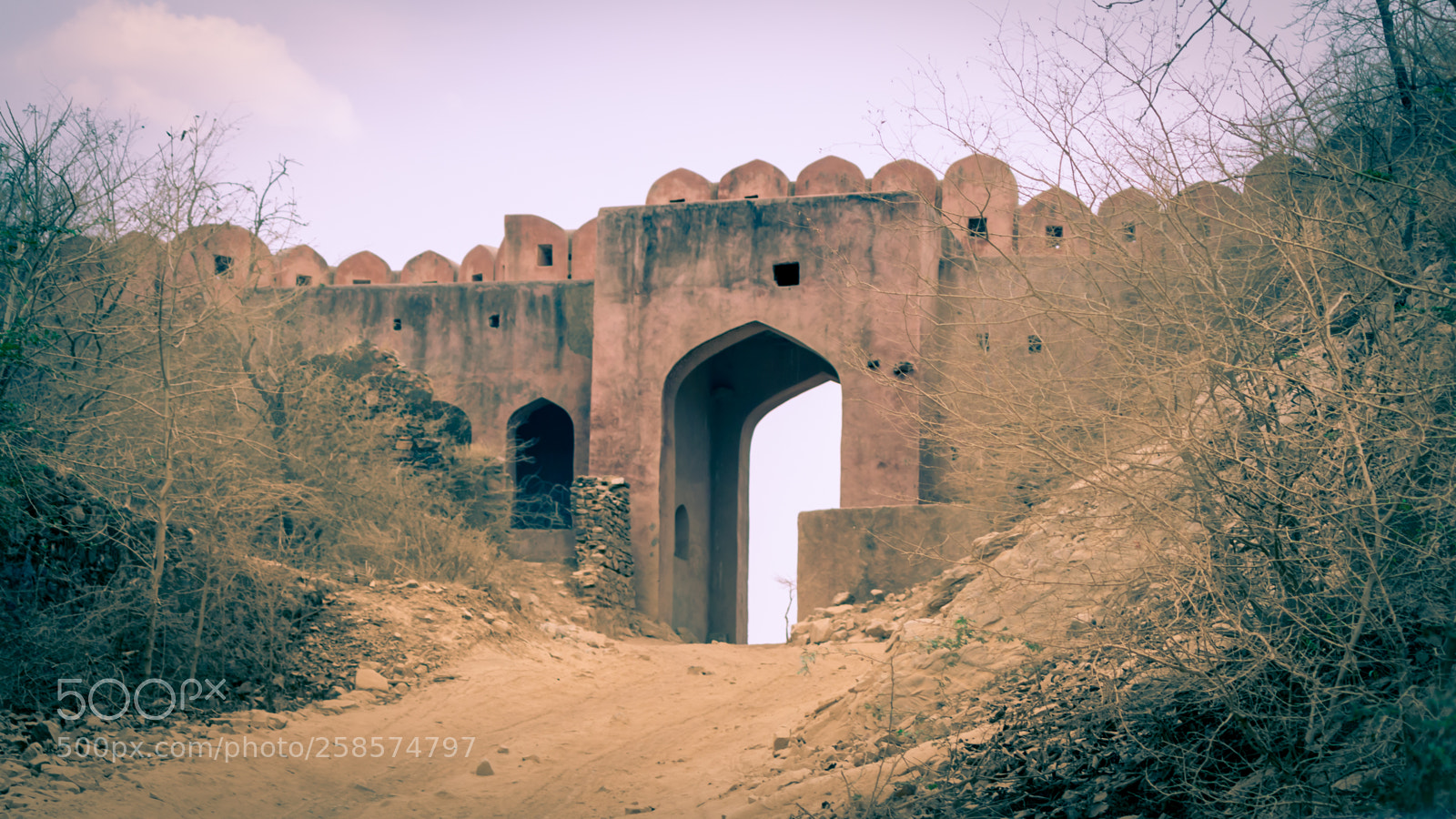 Canon EOS 700D (EOS Rebel T5i / EOS Kiss X7i) sample photo. Jaipur photography