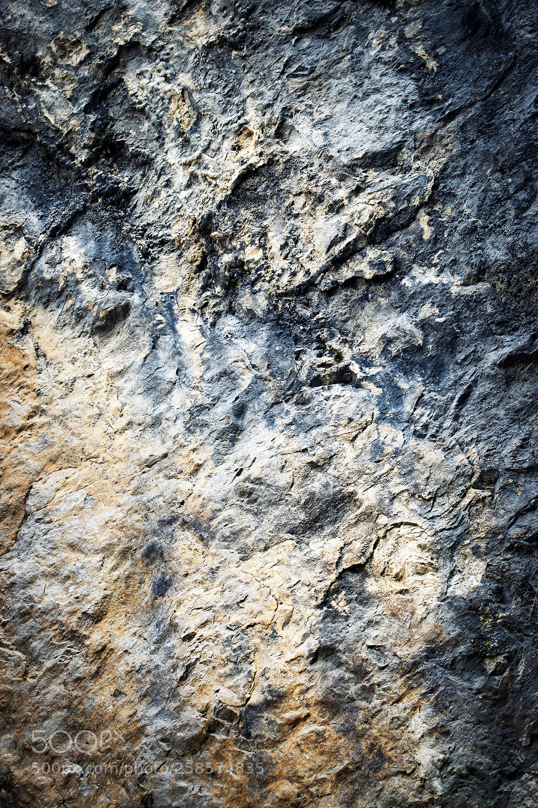 Nikon D5500 sample photo. Old dark limestone rock photography