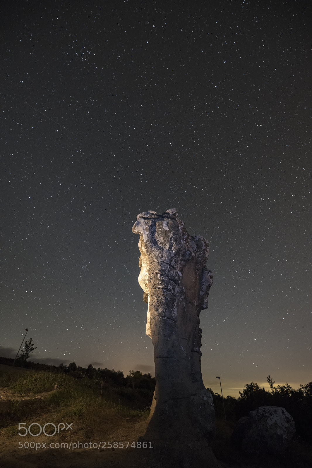 Nikon D850 sample photo. L'elefante di campana photography