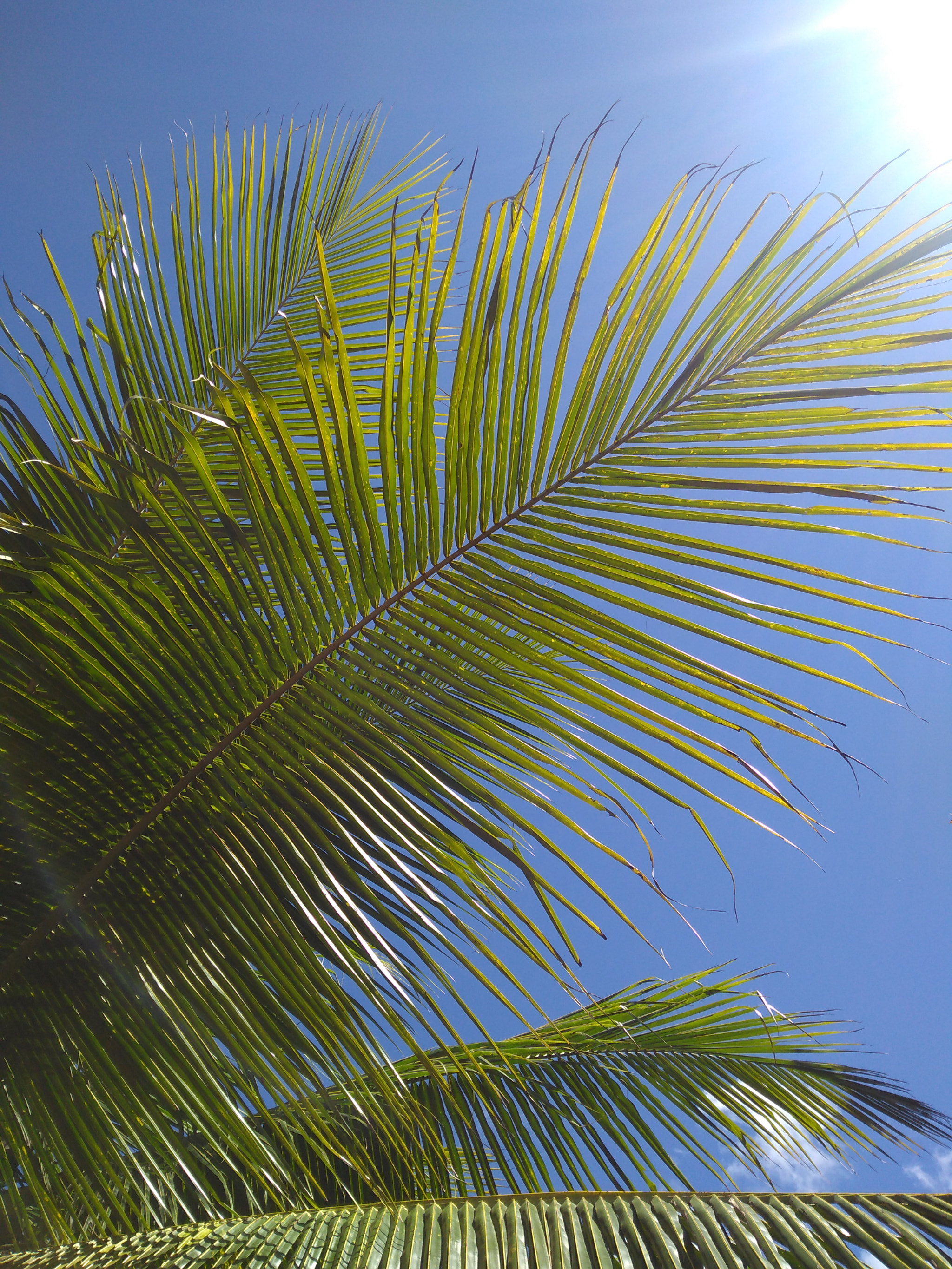 Motorola Moto G (5S) Plus sample photo