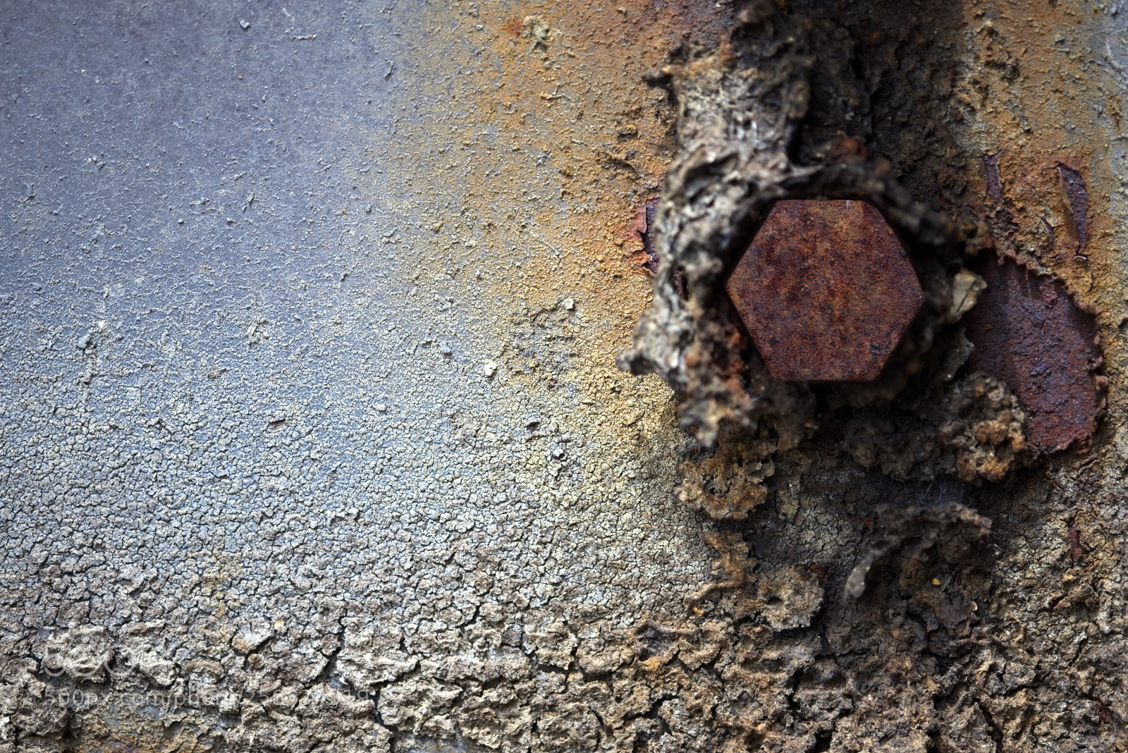 Nikon D750 sample photo. Entropy four photography