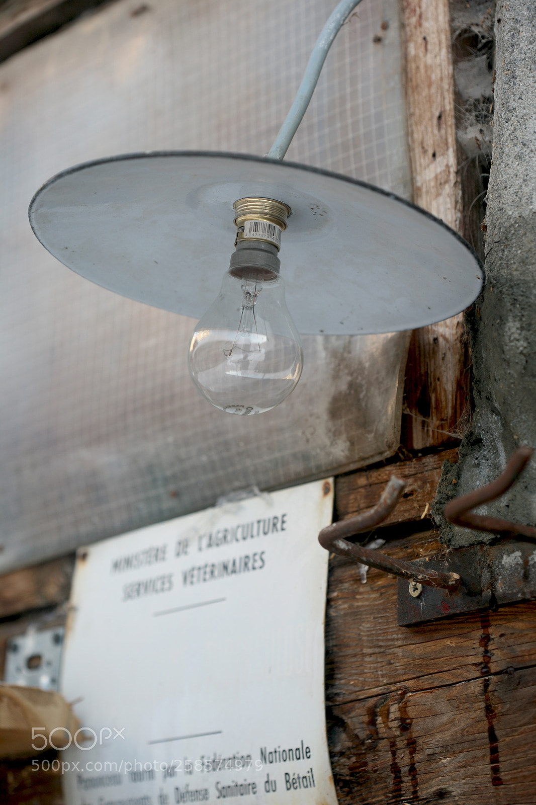 Canon EOS 5D sample photo. Img photography