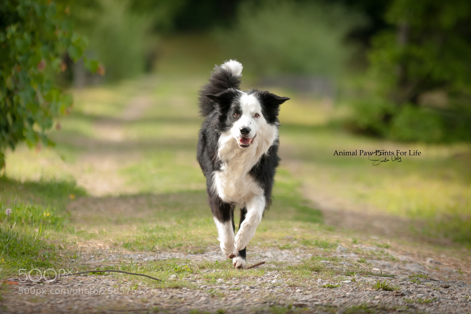 Nikon D300S sample photo. Jung , m nnlich photography