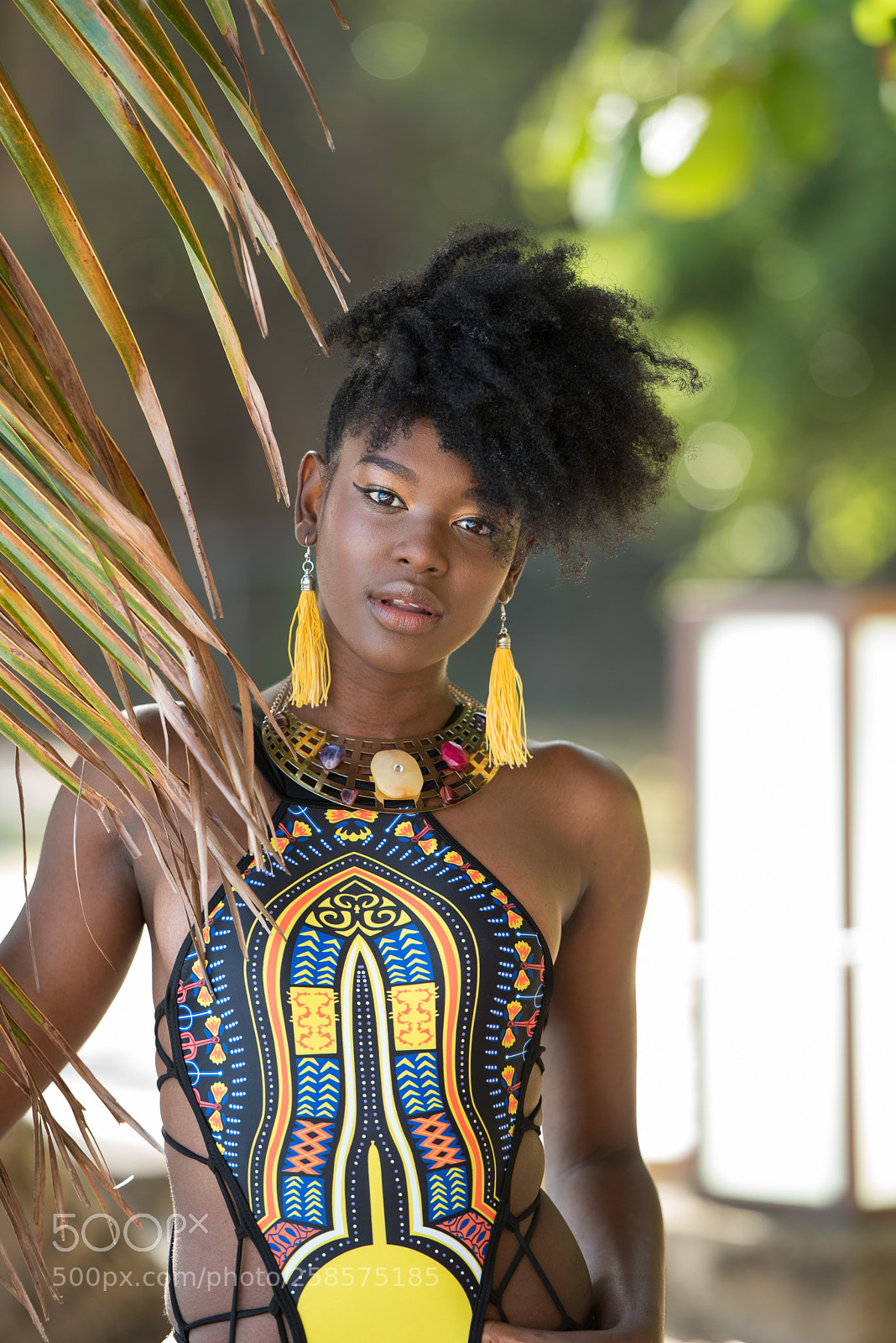 Nikon D750 sample photo. Aria photography