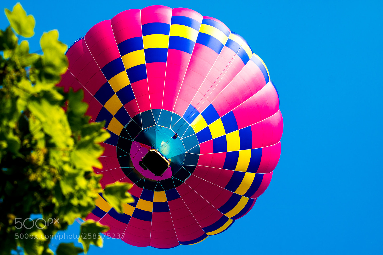 Canon EOS 750D (EOS Rebel T6i / EOS Kiss X8i) sample photo. Hot air balloon and photography