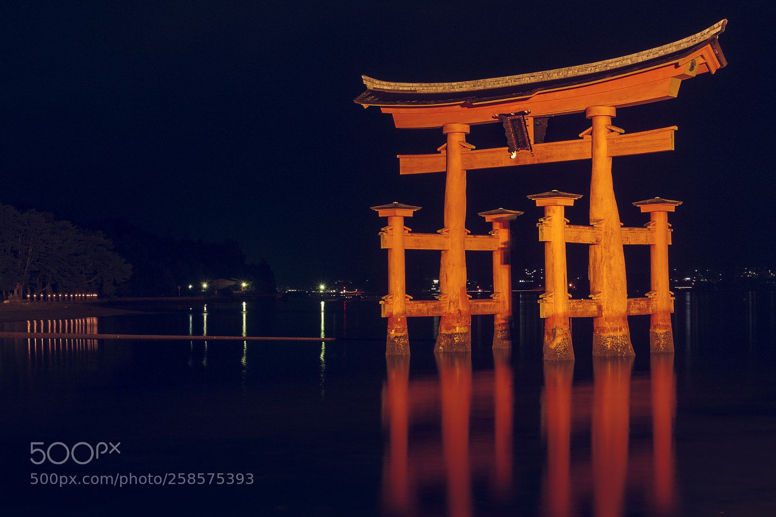 Canon EOS 450D (EOS Rebel XSi / EOS Kiss X2) sample photo. The great torii of photography