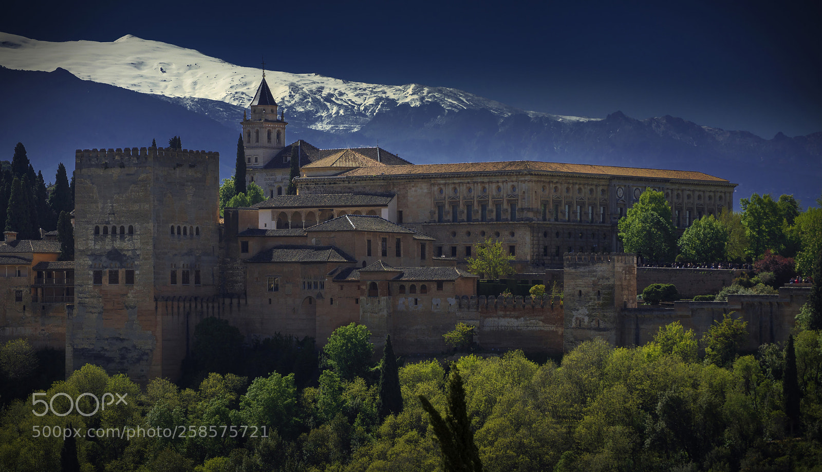 Nikon D5200 sample photo. Alhambra de granada and photography