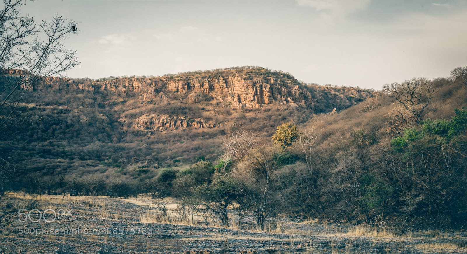 Canon EOS 700D (EOS Rebel T5i / EOS Kiss X7i) sample photo. Jaipur photography