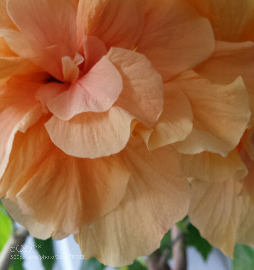 Samsung Galaxy S4 sample photo. Untitled photography