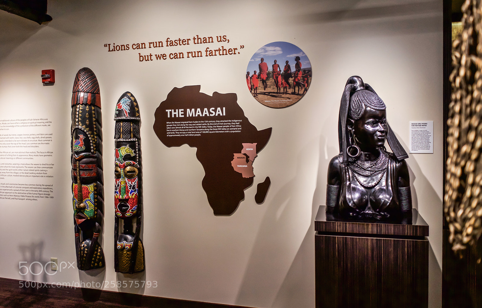 Sony a7 sample photo. The art of africa photography