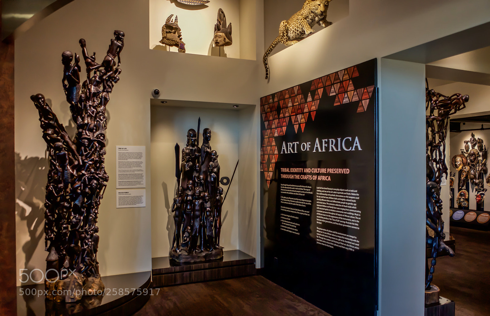 Sony a7 sample photo. The art of africa photography