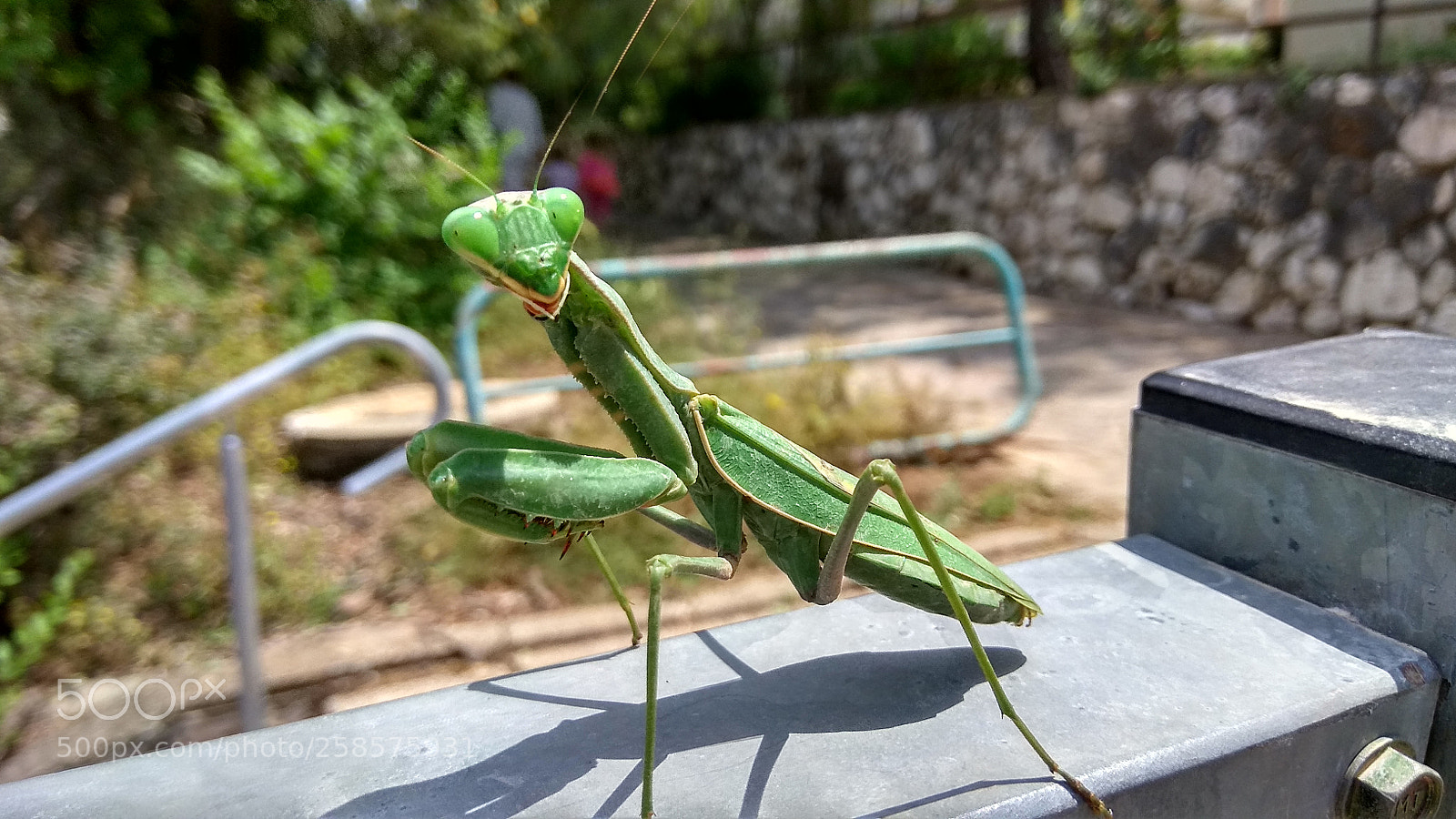 Xiaomi Redmi Note 4 sample photo. Untitled photography