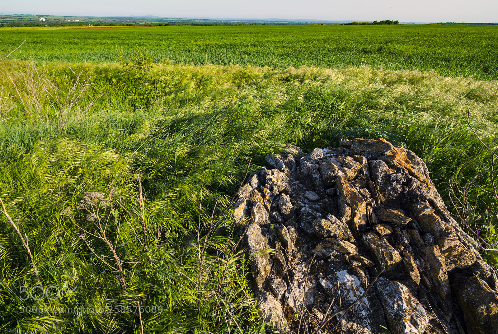 Nikon D5200 sample photo. Rock in a countryside photography