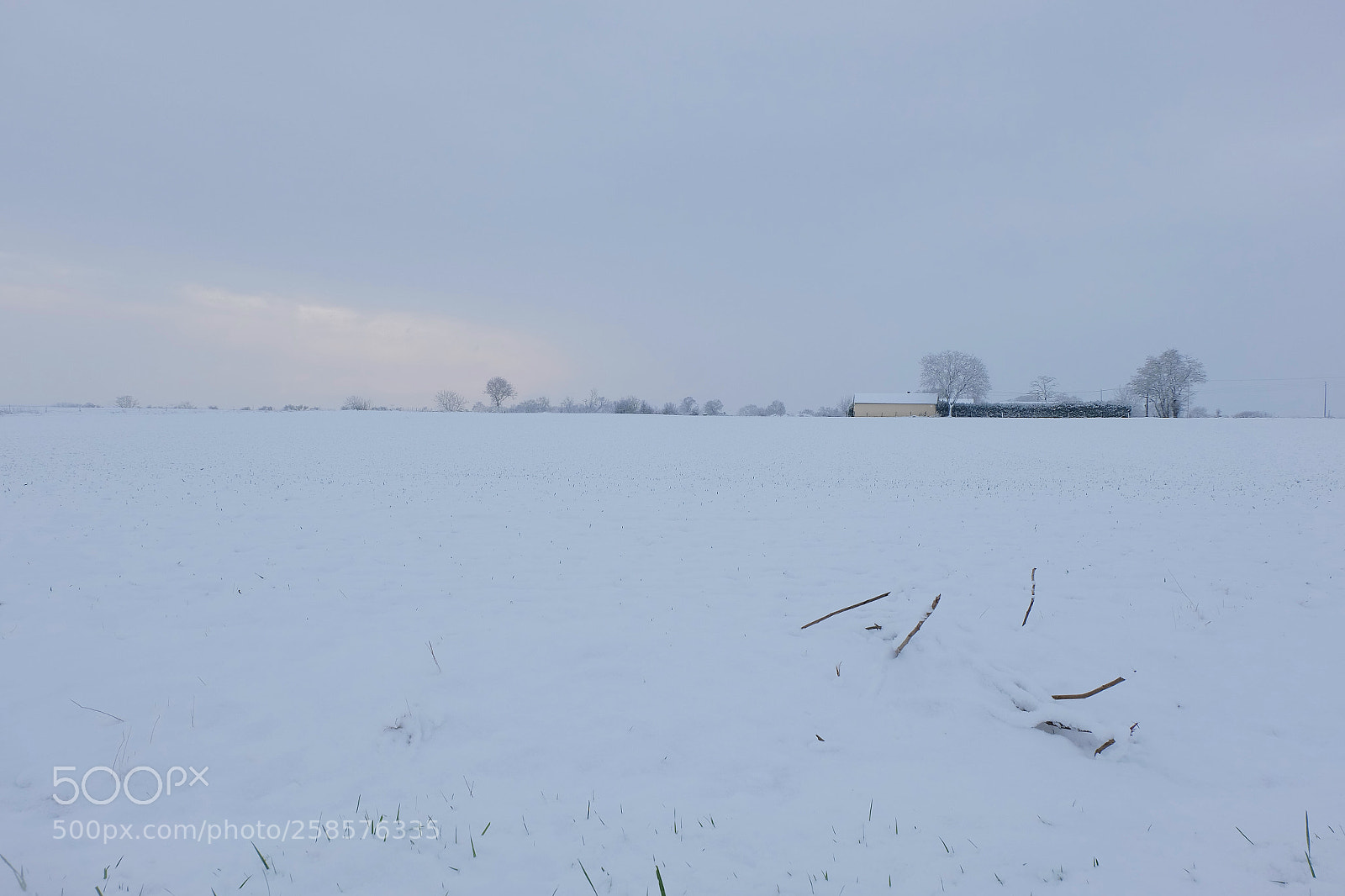 Fujifilm X-M1 sample photo. Snow  photography