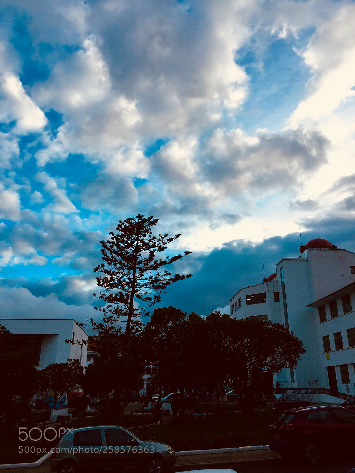 Apple iPhone 6 sample photo. Untitled photography