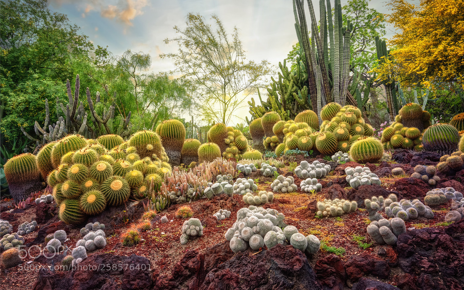 Nikon D610 sample photo. My secret garden is photography