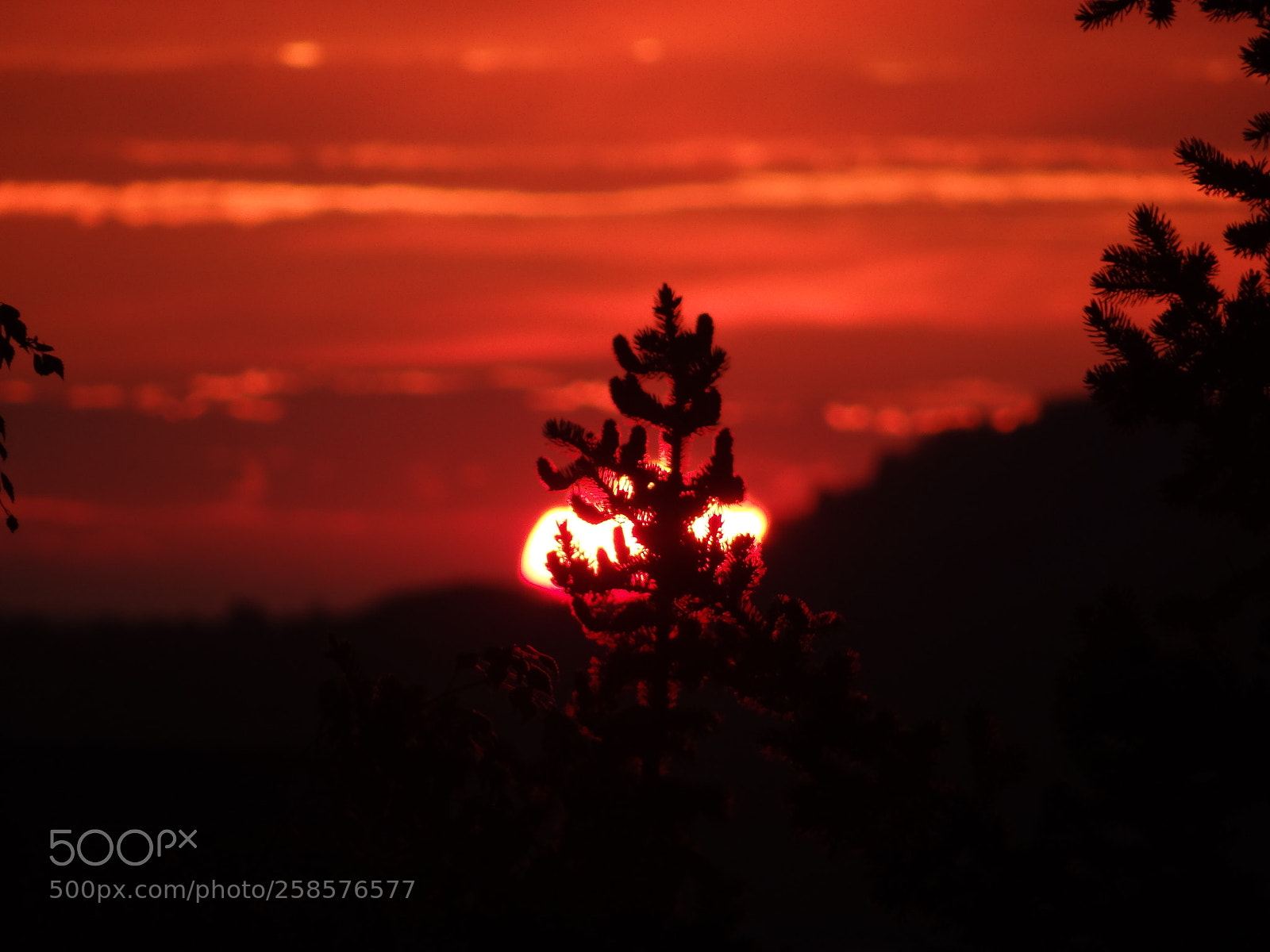 Sony Cyber-shot DSC-HX100V sample photo. Sunset photography