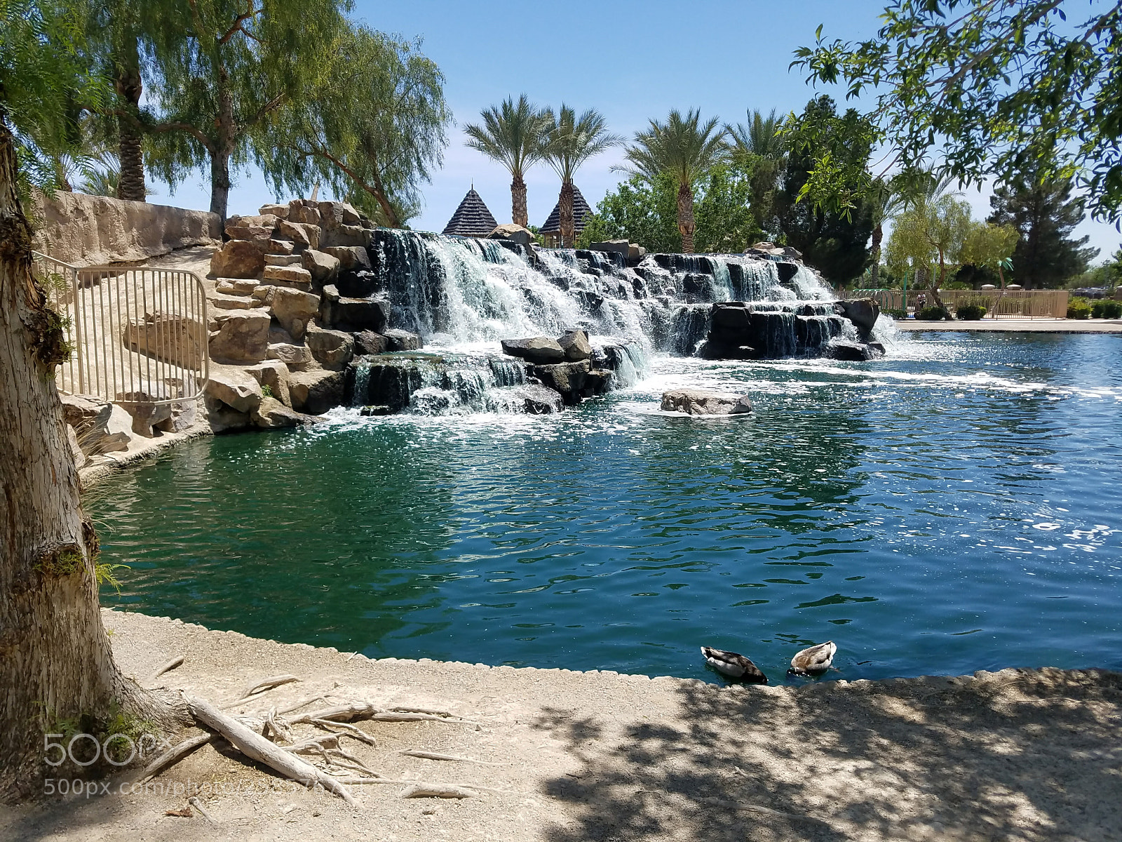 Samsung Galaxy S7 Edge sample photo. Aliante nature park photography